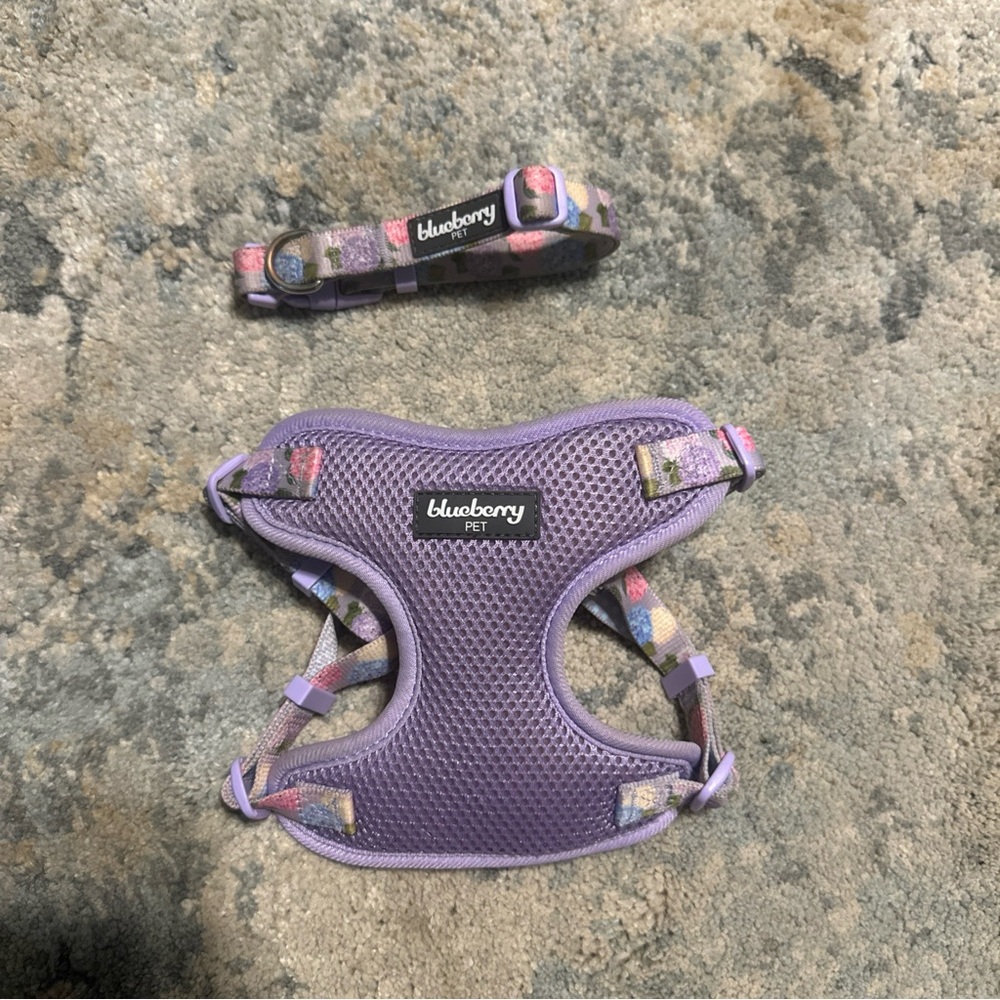 Blueberry Pet Rose Flower Print Padded Dog Harness Vest + Collar